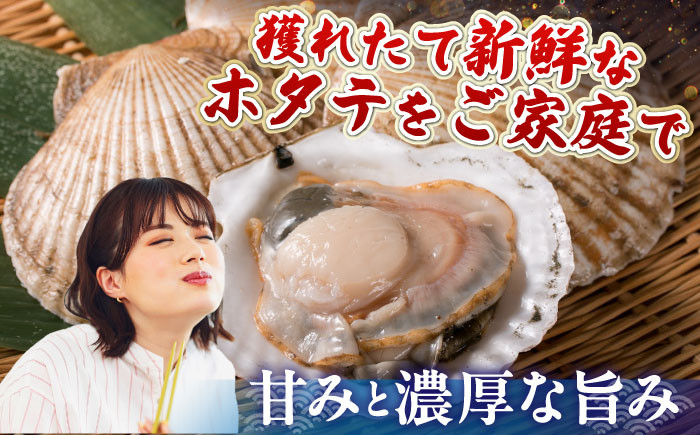 ホタテ 活ホタテ 帆立 海鮮 冷蔵