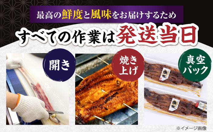 うなぎ 鰻 ウナギ 鰻蒲焼き うなぎ蒲焼き ひつまぶし うなぎ茶漬け おにぎり 国産 真空 冷凍 蒲焼 丑の日 個包装 小分け