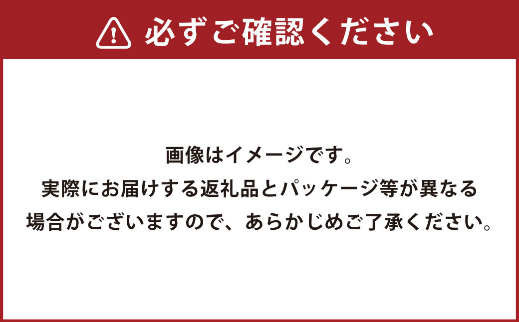 茂出木浩司シェフ監修オムライス