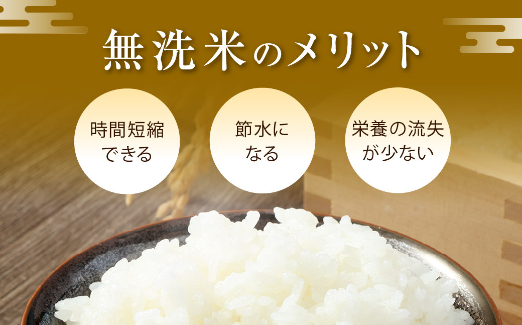 無洗米 長崎 ひのひかり 計10kg