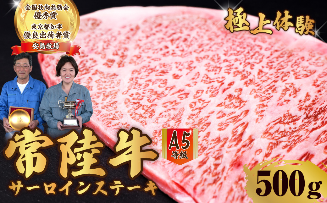 A5ランク特上和牛 サーロインステーキ 常陸牛 500g