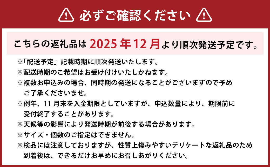 愛媛みかん約2.5㎏ 【2025年12月より順次発送】(10-1)
