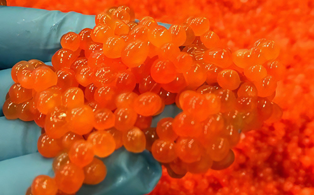 北海道礼文島産 いくら醤油漬 810g(90g×9パック) 小粒