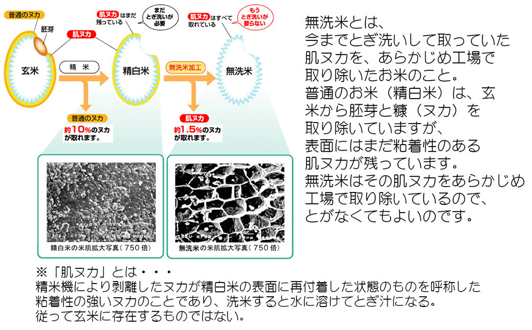 【令和6年産】BG無洗米 瀬戸内限定米（岡山米5kg×2袋）