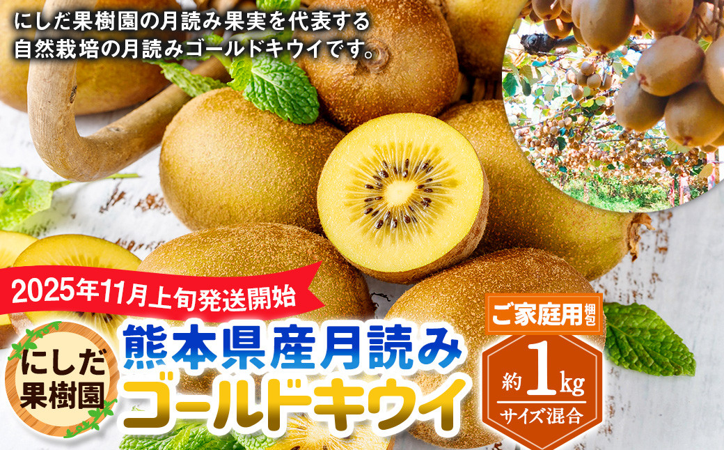 (ご家庭用梱包)にしだ果樹園の熊本県産月読みゴールドキウイ サイズ混合 約1kg