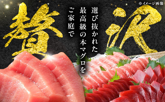 冷凍 マグロ まぐろ 中とろ 大とろ 柵 鮪 本マグロ 赤身 ねぎとろ たたき トロ 刺身 海鮮 海産物 島魚 寿司 鉄火丼