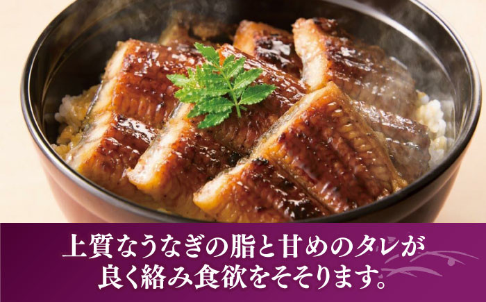 うなぎ 鰻 国産 福岡県産 蒲焼 かば焼き 土用 丑の日 ギフト 贈答