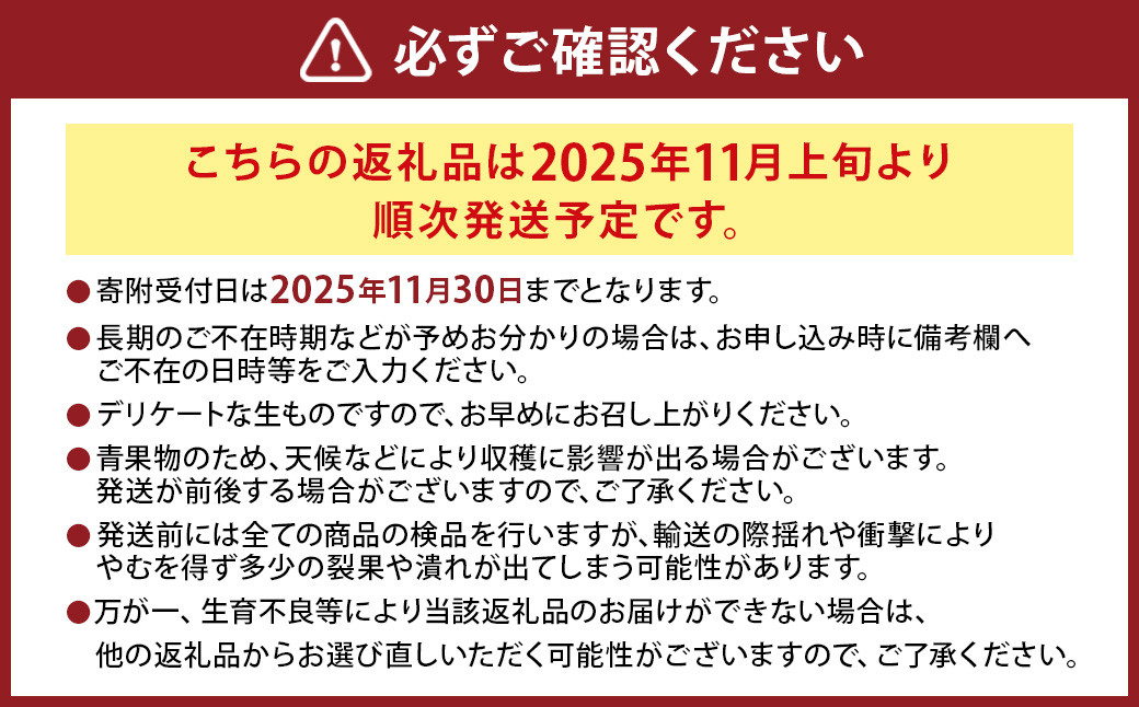 (ご家庭用梱包)にしだ果樹園の熊本県産月読みゴールドキウイ サイズ混合 約1kg