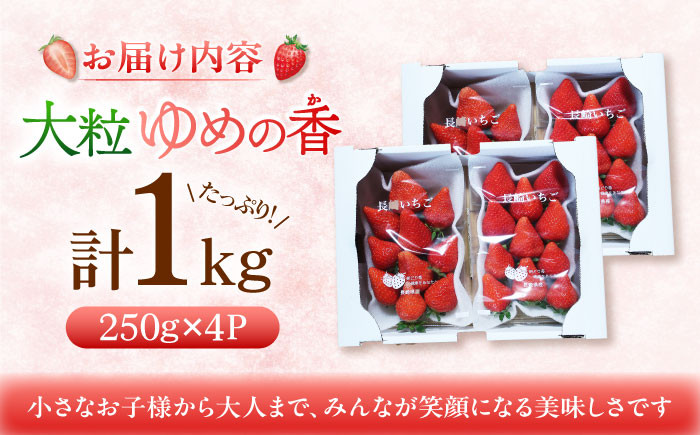 いちご イチゴ 苺 ゆめの香 大粒 果物 くだもの フルーツ
