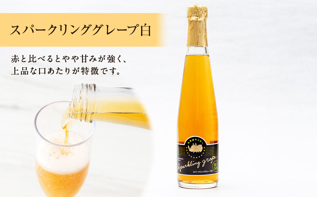 北海道サイダー 3本セット