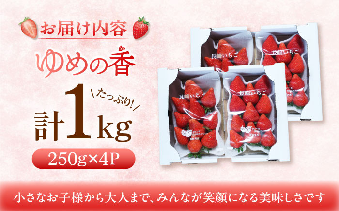 くだもの 果物 フルーツ いちご イチゴ 苺 ゆめの香 ゆめのか 1キロ 1kg 長崎 長崎県