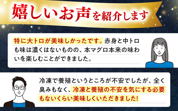 冷凍 マグロ まぐろ 中とろ 大とろ 鮪 本マグロ 赤身 ねぎとろ たたき トロ 刺身 海鮮 海産物 小分け 定期便 毎月届く