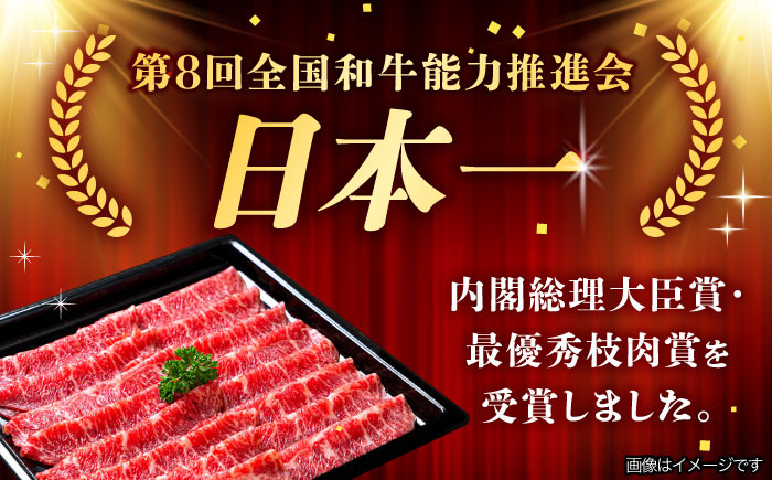 3回 定期便 飛騨牛 切り落とし 500g