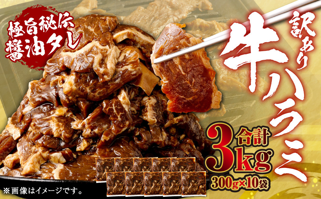 やわらか 牛ハラミ(サガリ)肉 極旨秘伝醤油タレ漬け 合計3.0kg