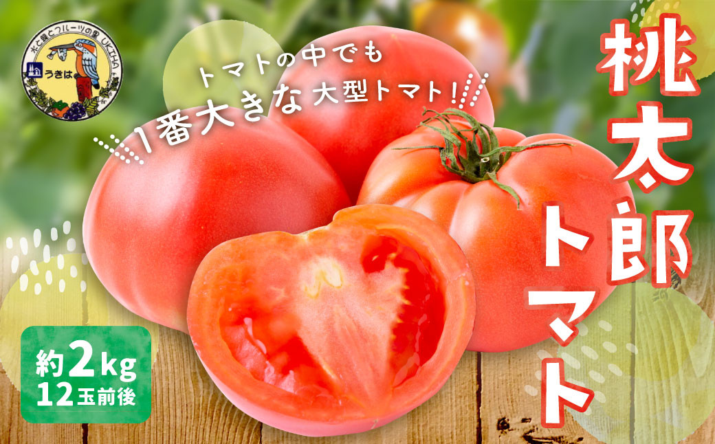 道の駅 うきは 桃太郎トマト 12玉前後 （約2kg）