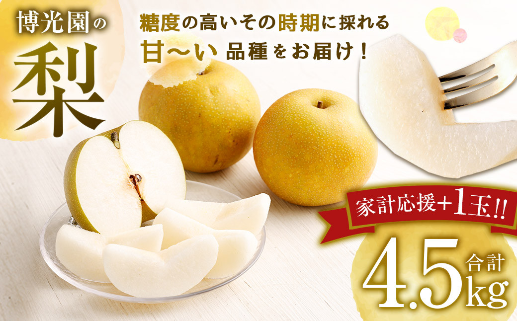 【家計応援】 梨 4.5kg+1玉