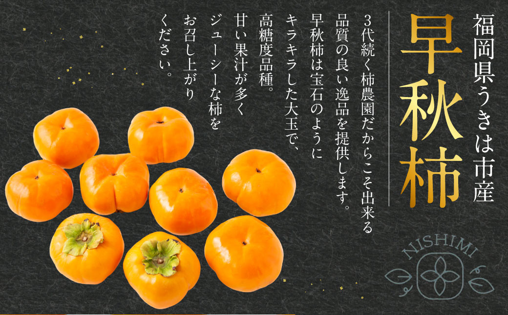 早秋柿 9～12玉（約3kg）