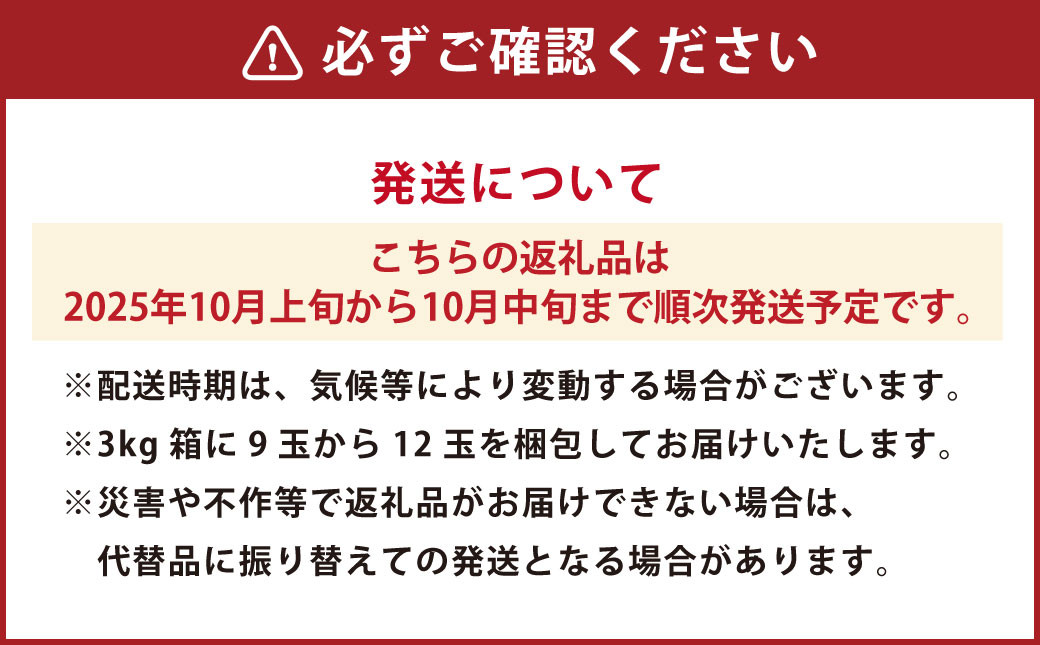 早秋柿 9～12玉（約3kg）