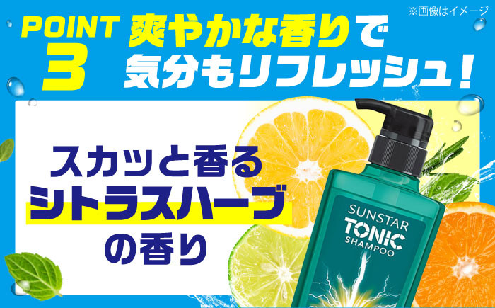 シャンプー リンス トリートメント リンスイン リンスインシャンプー メンズ 男性 男性用 メントール サンスター 日用品