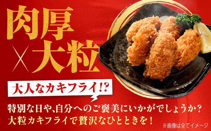 牡蠣 むき身 殻付き かき カキ 生牡蠣 広島牡蠣 オイスター カキフライ