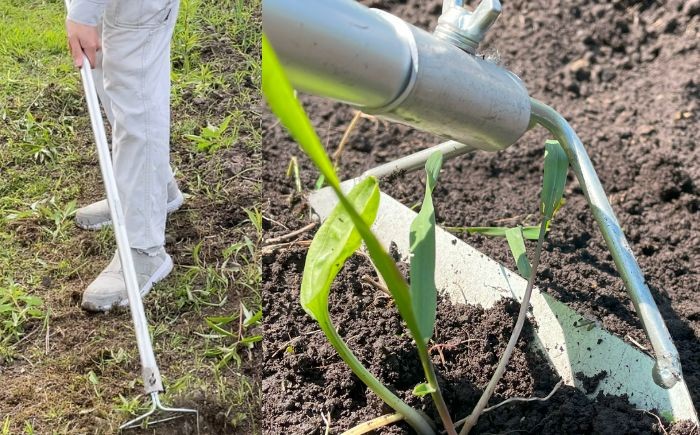 除草具 農具 草取り 草刈り 農業 農作業 ガーデニング 庭 園芸 花 雑草 