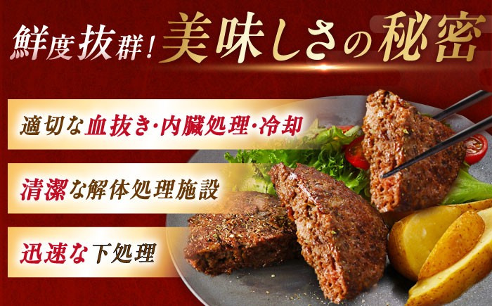鹿肉 ハンバーグ ジビエ 肉 鹿 焼くだけ ジビエ料理 ジビエ肉 お取り寄せ 贈答 ギフト おすすめ 人気 岐阜県 恵那市