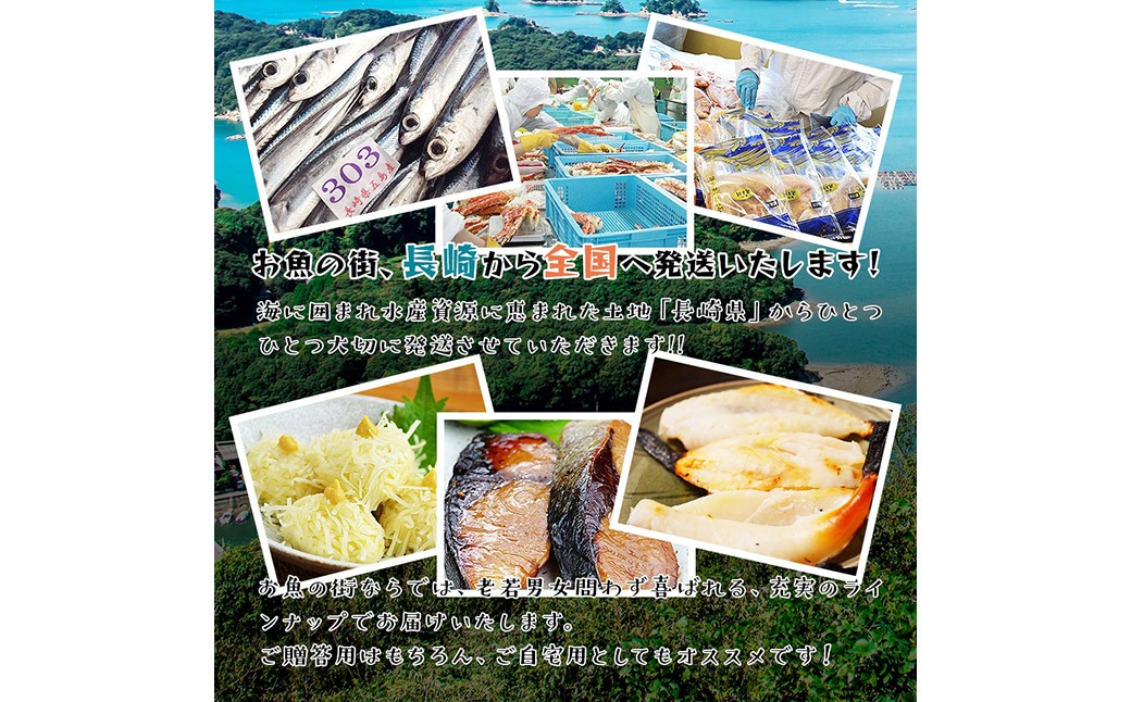 海鮮三昧 ひものセット 干物 魚介 海鮮 魚 おつまみ 肴