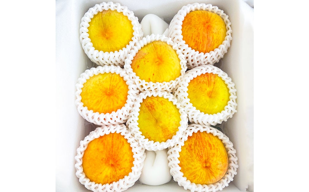 岡山県美咲町産 桃 【黄金桃】 約2kg