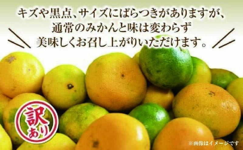 小さいお子さんに大人気！