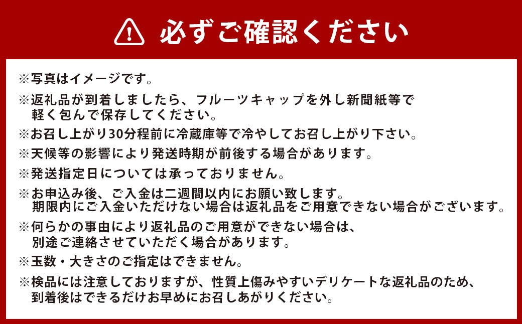 岡山県美咲町産 桃 【おかやま夢白桃】約2kg
