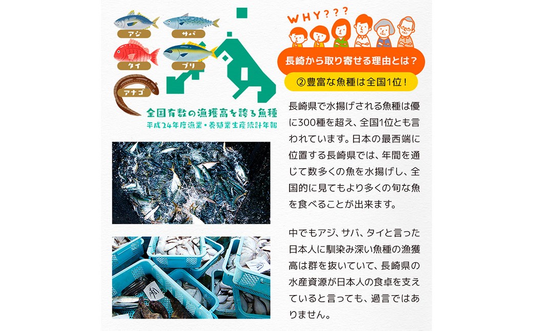 【全6回定期便】長崎産 真アジ一夜干し たっぷり21尾