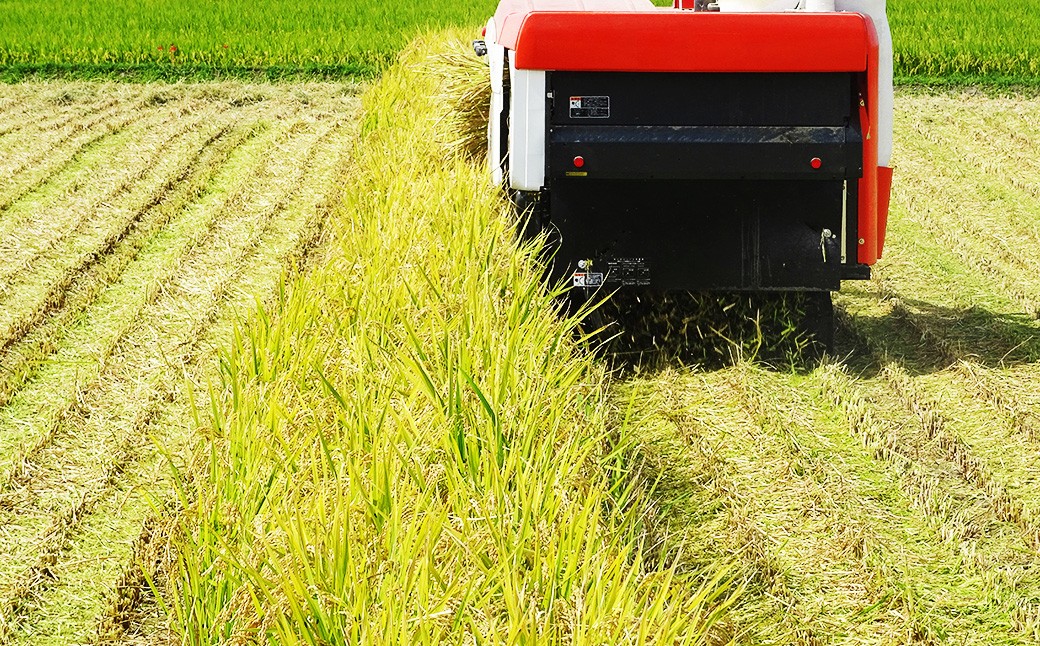 【令和7年産】福岡県産 夢つくし〈千づ乃しずく〉 約5kg 精米 S001