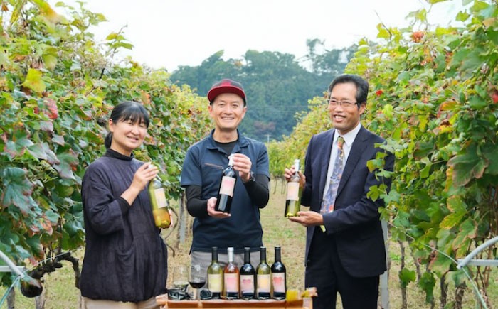 山野峡ワイン2023シャルドネ・ソービニヨンブラン・セミヨン