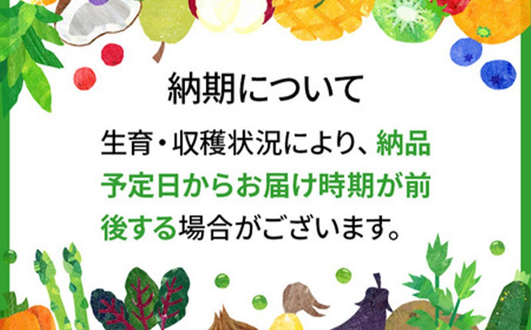豊かな自然で、園主が愛情を注ぎ込んだ桃（赤桃） 約3kg （9玉～20玉）