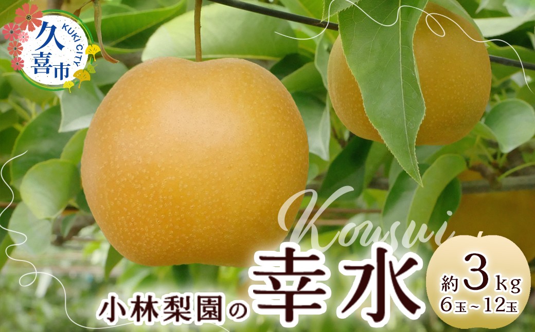 梨 幸水 約3kg 先行予約 数量限定 | 梨 なし 幸水 先行予約 数量限定 フルーツ 果物 和梨 産地直送 限定品 贈り物