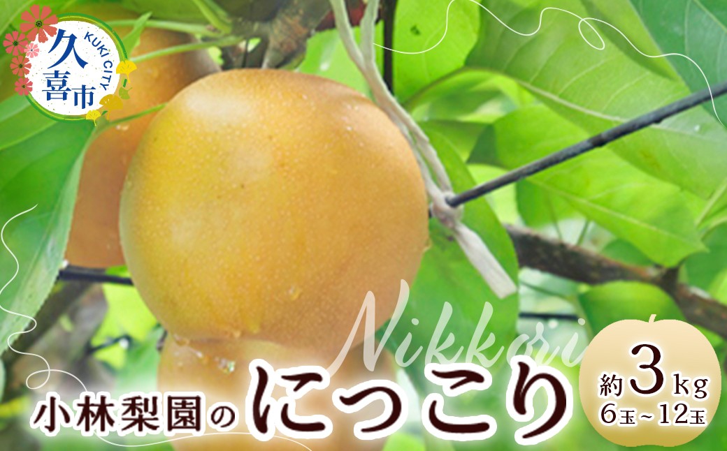 梨 にっこり 約3kg 6玉～12玉 先行予約 数量限定 | 梨 なし にっこり フルーツ 果物 和梨 産地直送 限定品 贈り物