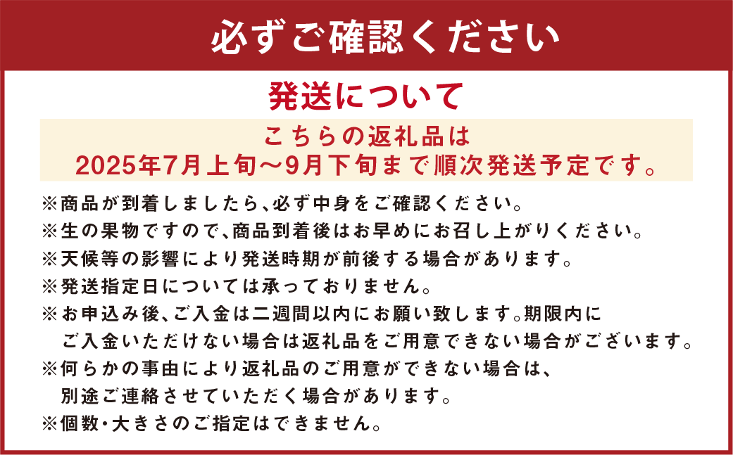 神内マンゴー 特品 510g以上 2玉入り 