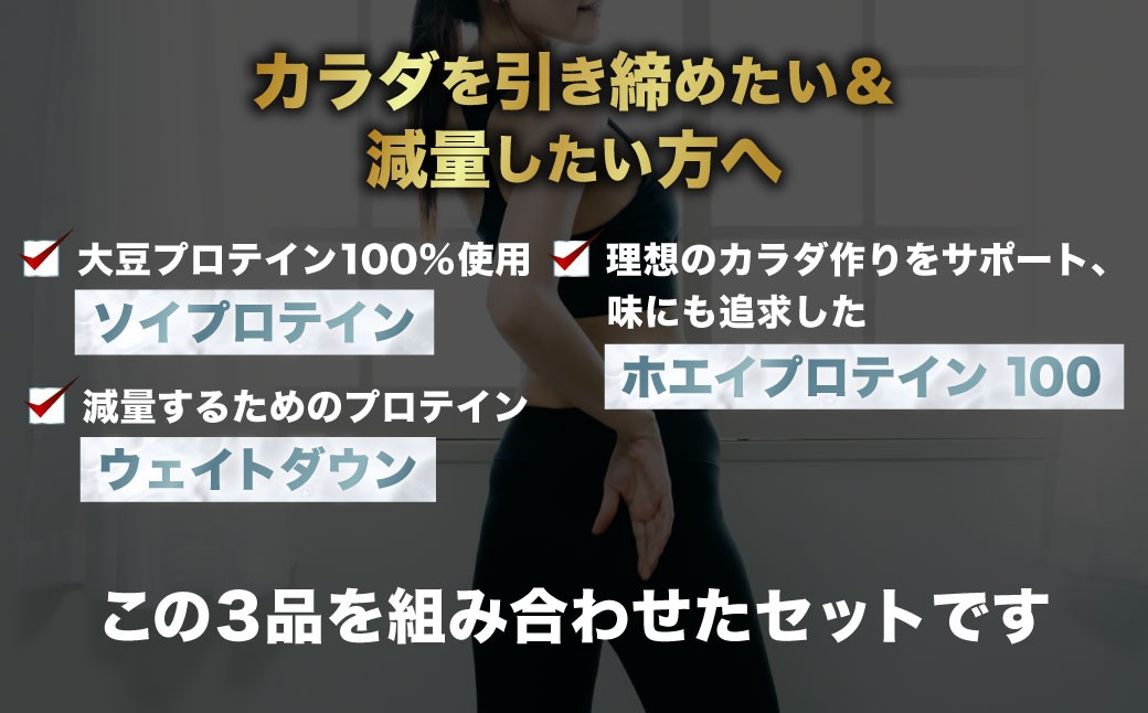 ザバス プロテイン ダイエットライトセット