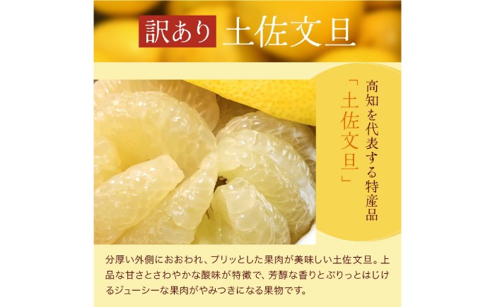 ぶんたん 文旦 訳あり わけあり 訳アリ 傷 シミ 大容量 季節限定 期間限定 果物 フルーツ みかん 柑橘 高知 土佐 特産品