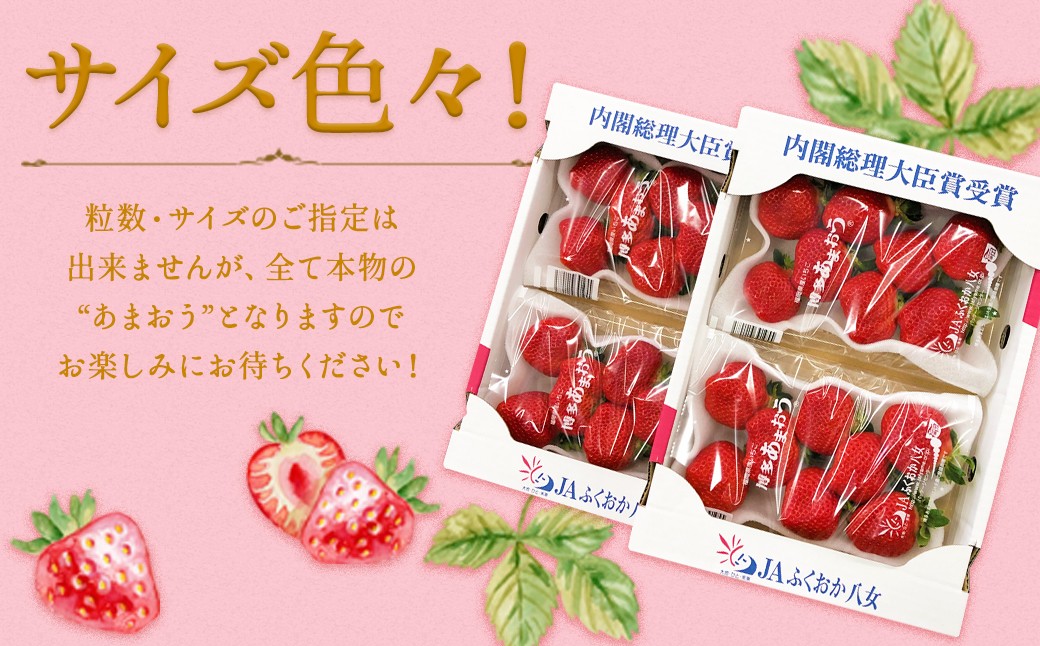 いちご 「あまおう」 約270g×10パック 計約2700g