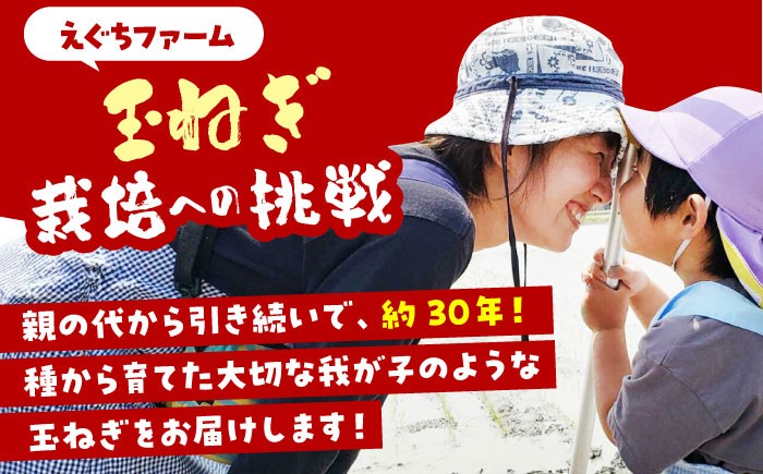 訳あり 新玉ねぎ 10kg 　【えぐちファーム】 [HDE002] 不揃い たまねぎ 小玉 玉葱 玉ねぎ タマネギ 佐賀県