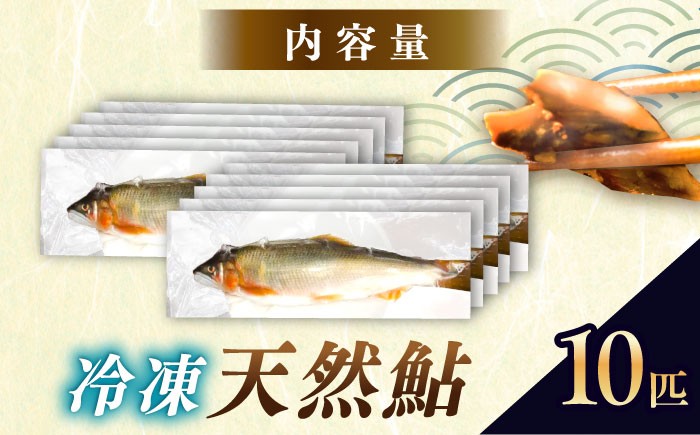 天然あゆ 冷凍 付知川 鮎 魚介 お取り寄せ 魚 天然鮎 清流 通年受付 川魚 贈答 ギフト おすすめ 人気 岐阜県 恵那市
