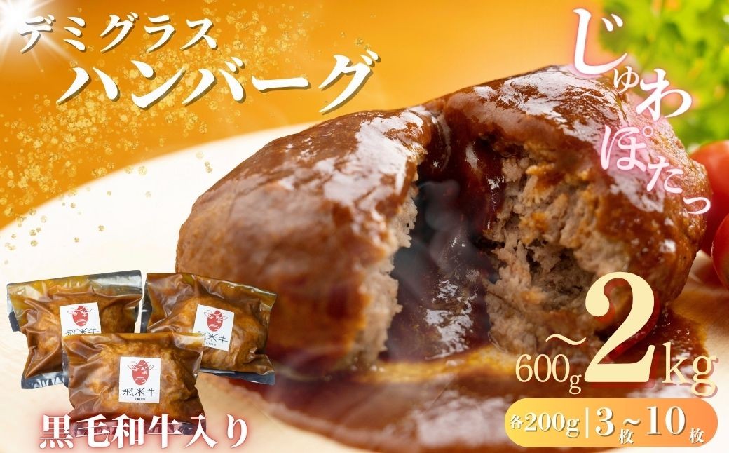 飛米牛 デミグラスハンバーグ 200g × 3~10枚