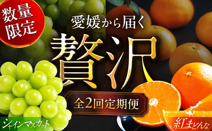 果物王国愛媛県からお届け！みかんとぶどうのフルーツ2種の贅沢定期便！【全2回定期便】シャインマスカット＆紅まどんな
