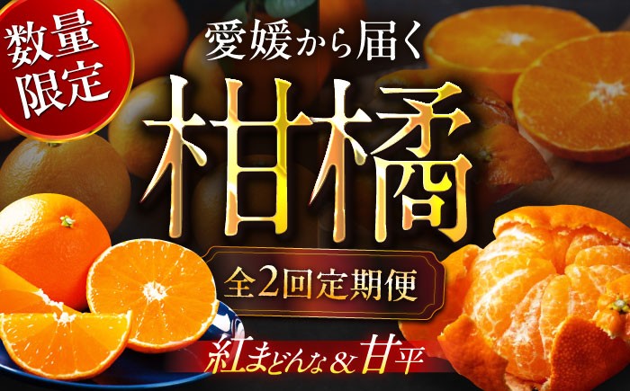 みかん王国愛媛県からの定期便！【全2回定期便】紅まどんな＆甘平 贅沢柑橘セット