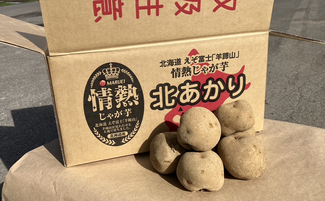 【先行受付】北海道産 情熱じゃが芋(北あかり) Lサイズ 計約5kg