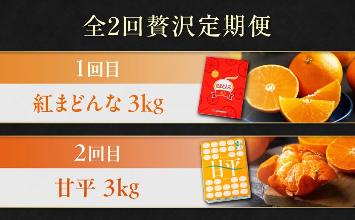 みかん王国愛媛県からの定期便！【全2回定期便】紅まどんな＆甘平 贅沢柑橘セット