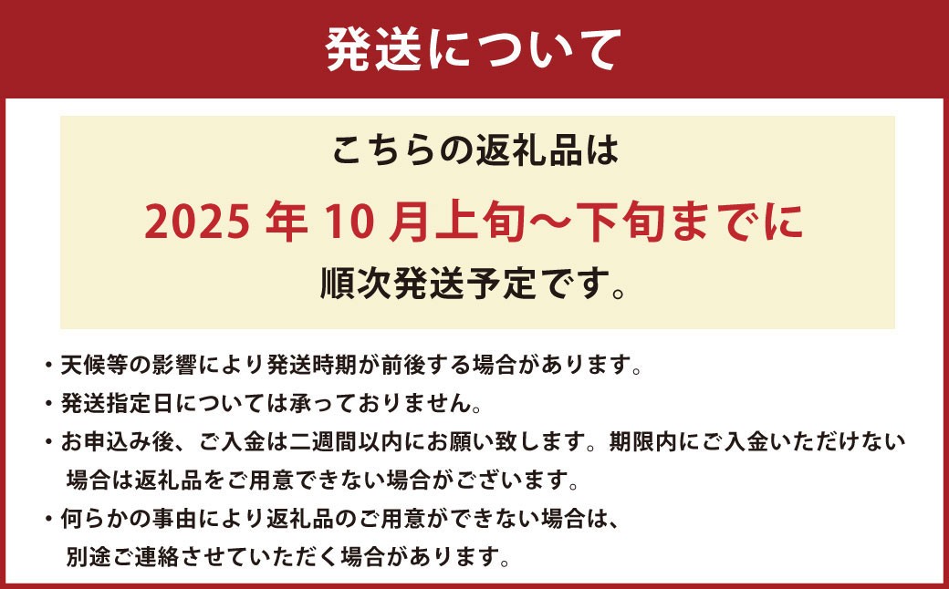 熊本県 河内産 みかん ゆら早生 3kg 有機肥料使用