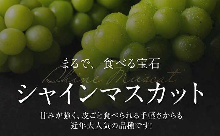 果物王国愛媛県からお届け！みかんとぶどうのフルーツ2種の贅沢定期便！【全2回定期便】シャインマスカット＆紅まどんな