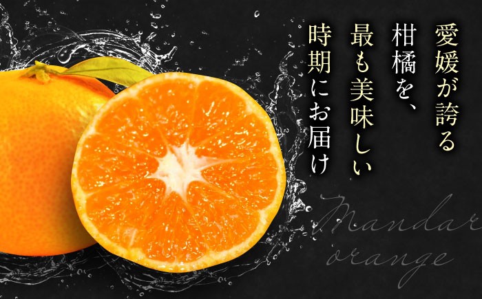 フルーツの代表!冬の定番果物!赤秀 愛媛県産 早生みかん 5㎏箱(50玉~80玉)